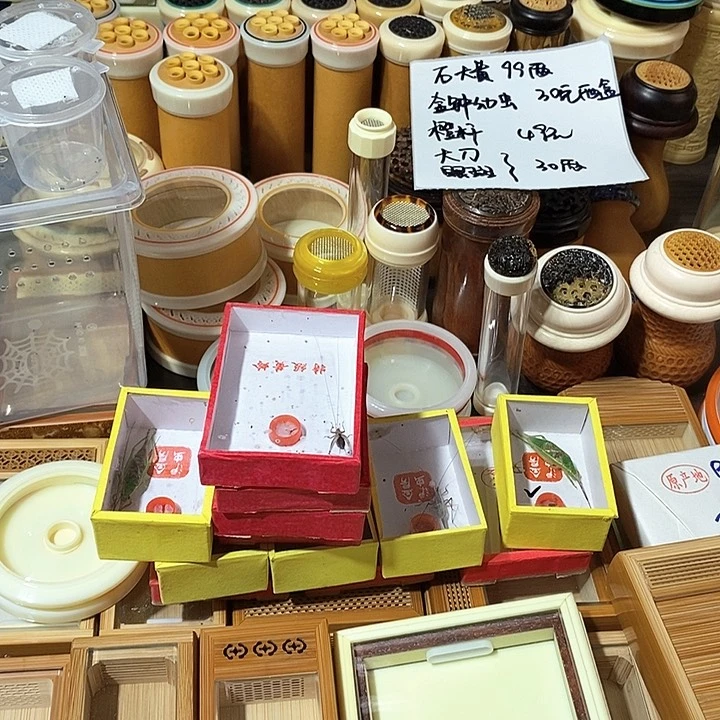 洋****。猛犸海鲜保真