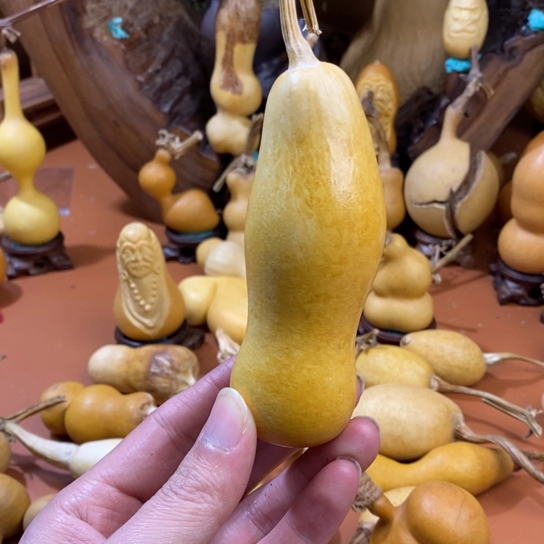 善***己啦啦教练咯教练咯教练咯