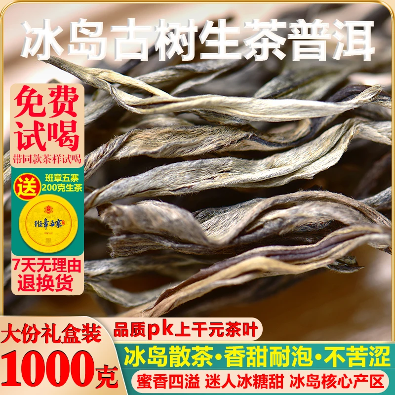 冰岛普洱茶生茶散茶头春新茶云南临沧普洱茶礼盒装老寨古树老班章