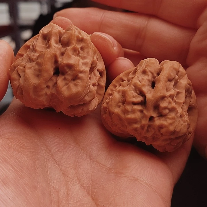 核桃40尺蛤蟆头核桃