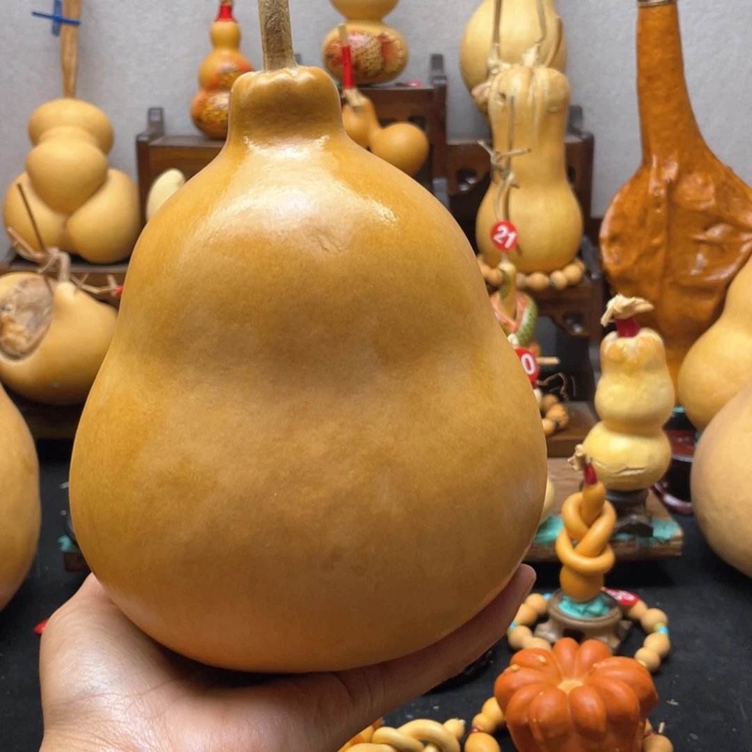 风*阡大自然的秘密是什么啊哈哈我