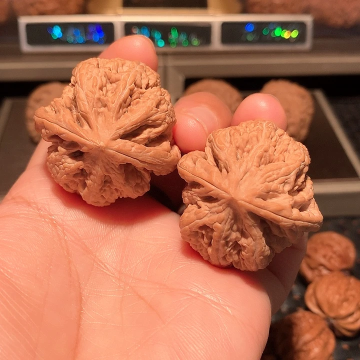 文玩核桃把件粗筋38尺