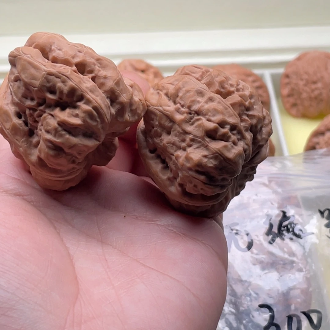 核桃没编号啊啊啊啊啊