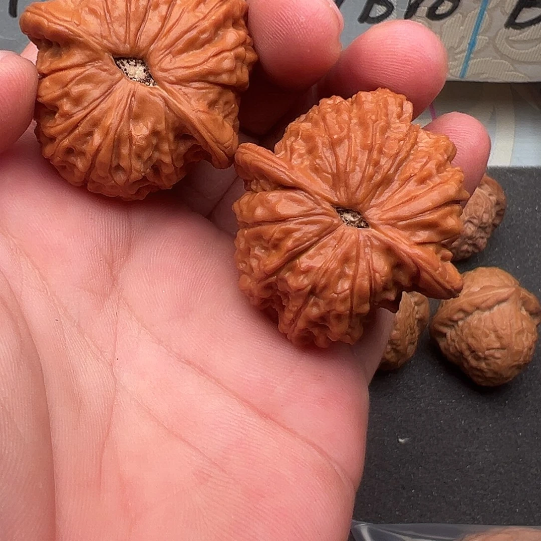 吊坠桃核全品血麒麟40