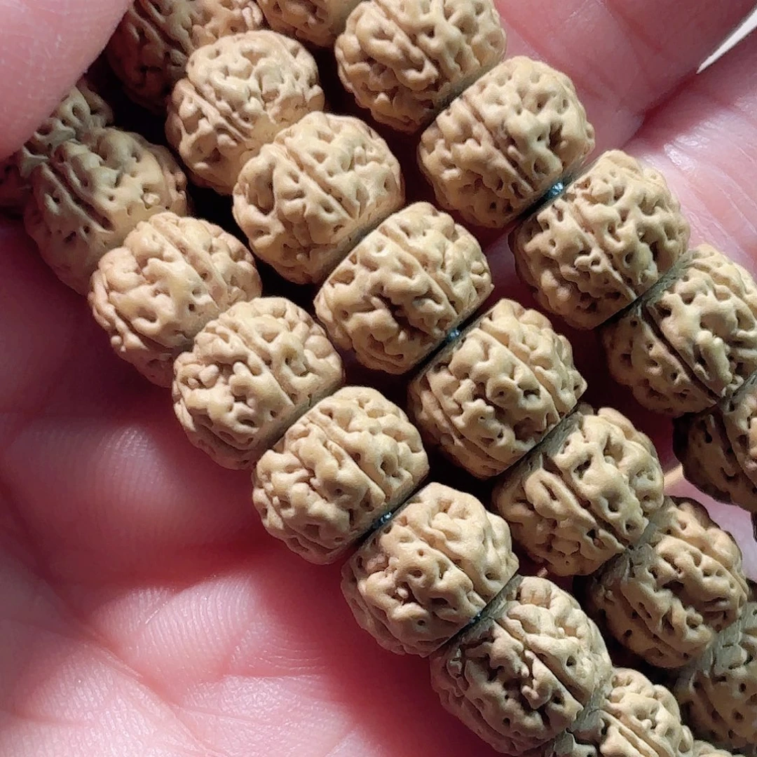 上***P印度尼西亚小金刚盘龙长串9小加