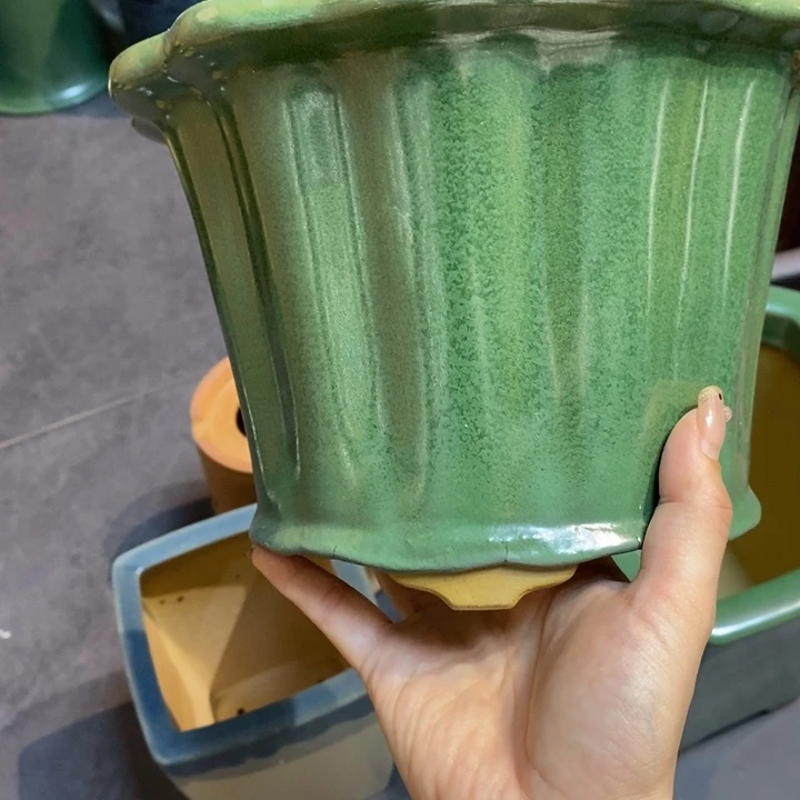 紫砂花盆沐**主福利来啦