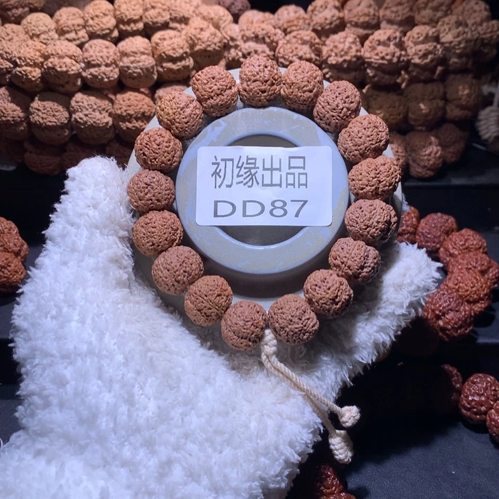 吊坠金刚菩提18尺纯血菠萝蜜