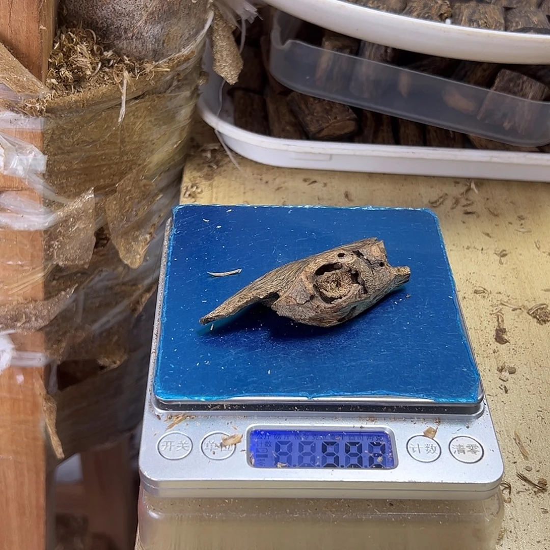 香料绿奇楠虫漏5克白棋