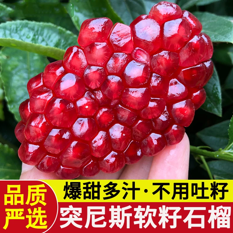 四川会理突尼斯软籽石榴 净重3斤/4.5斤/8斤D