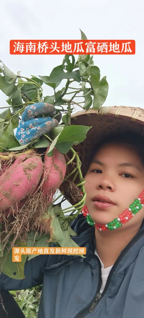 海南澄迈桥头富硒地瓜粉糯香甜原产地直发