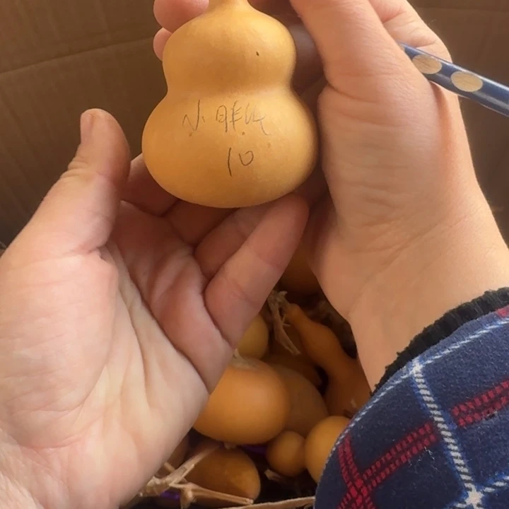 小***纸小胖子小胖子葫芦