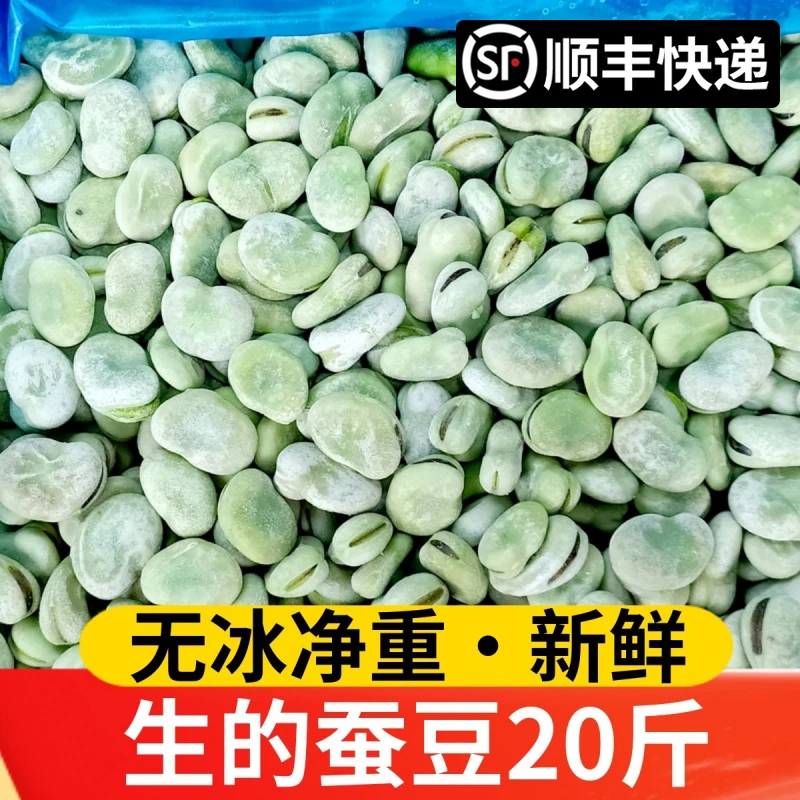 新鲜蚕豆不带壳冷冻生蚕豆罗汉豆莲花豆胡豆整箱20斤饭店酒店商用