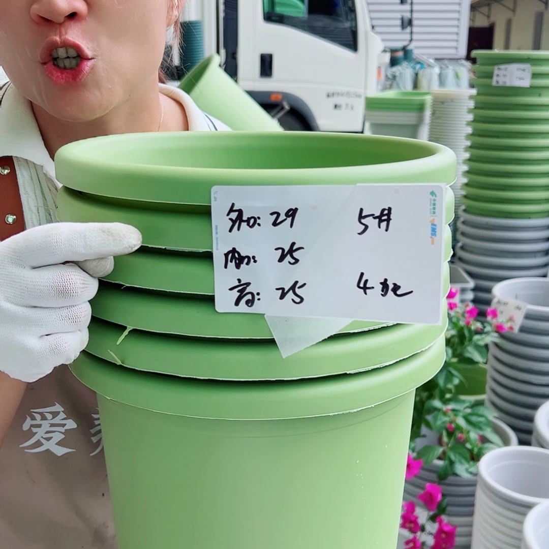 四季盆5#果绿色6个无托