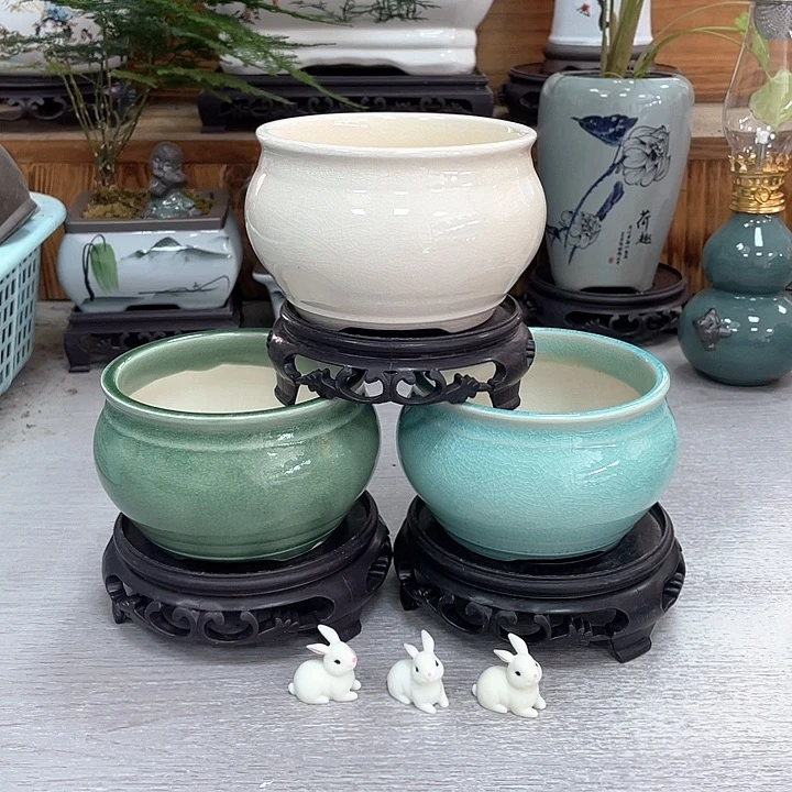 陶瓷花盆抢购福利