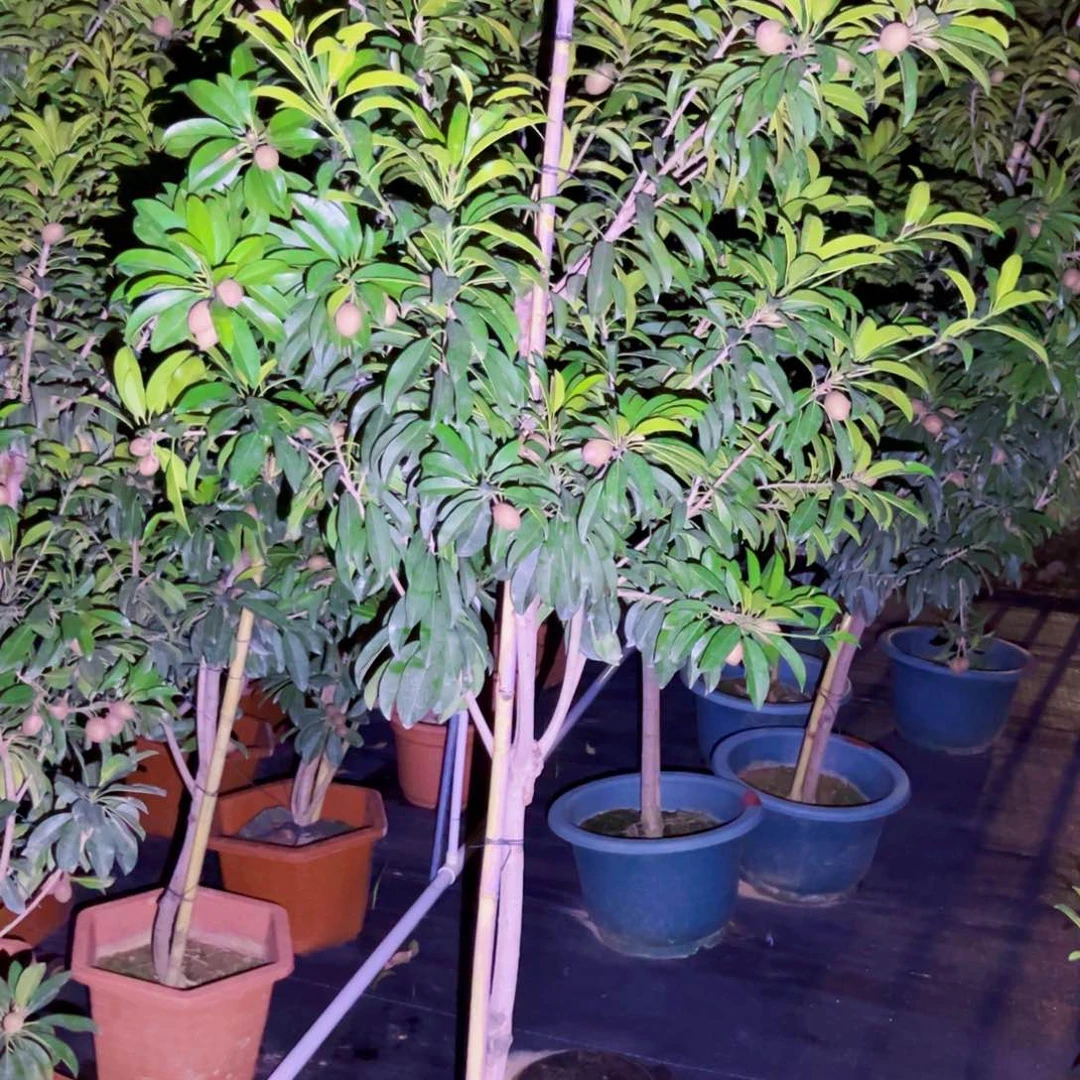 222一起加油打投吧超期待今晚打