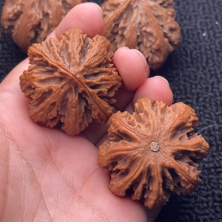 把件文玩核桃文玩核桃8