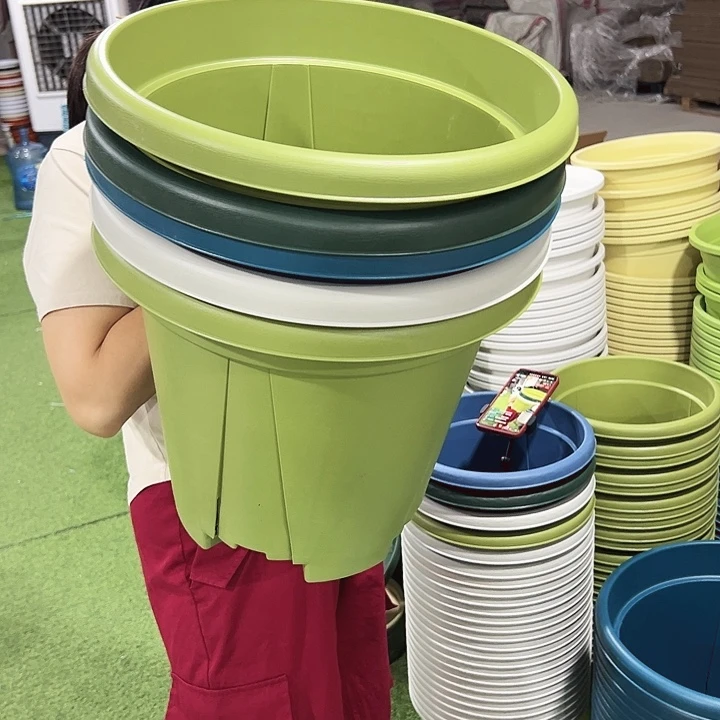 青山盆口40高35果绿色无托5只