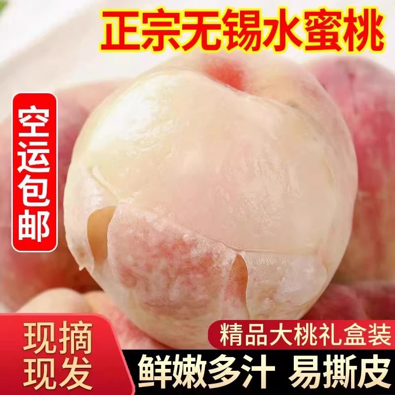 先亏3000单【4~5两】8个装正宗无锡阳山镇水蜜桃新鲜甜现摘爆汁水果