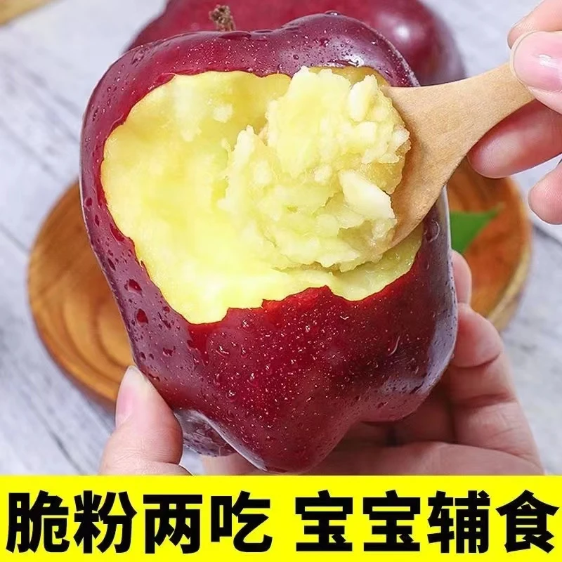 甘肃天水花牛苹果新鲜脆粉两吃红产地直发