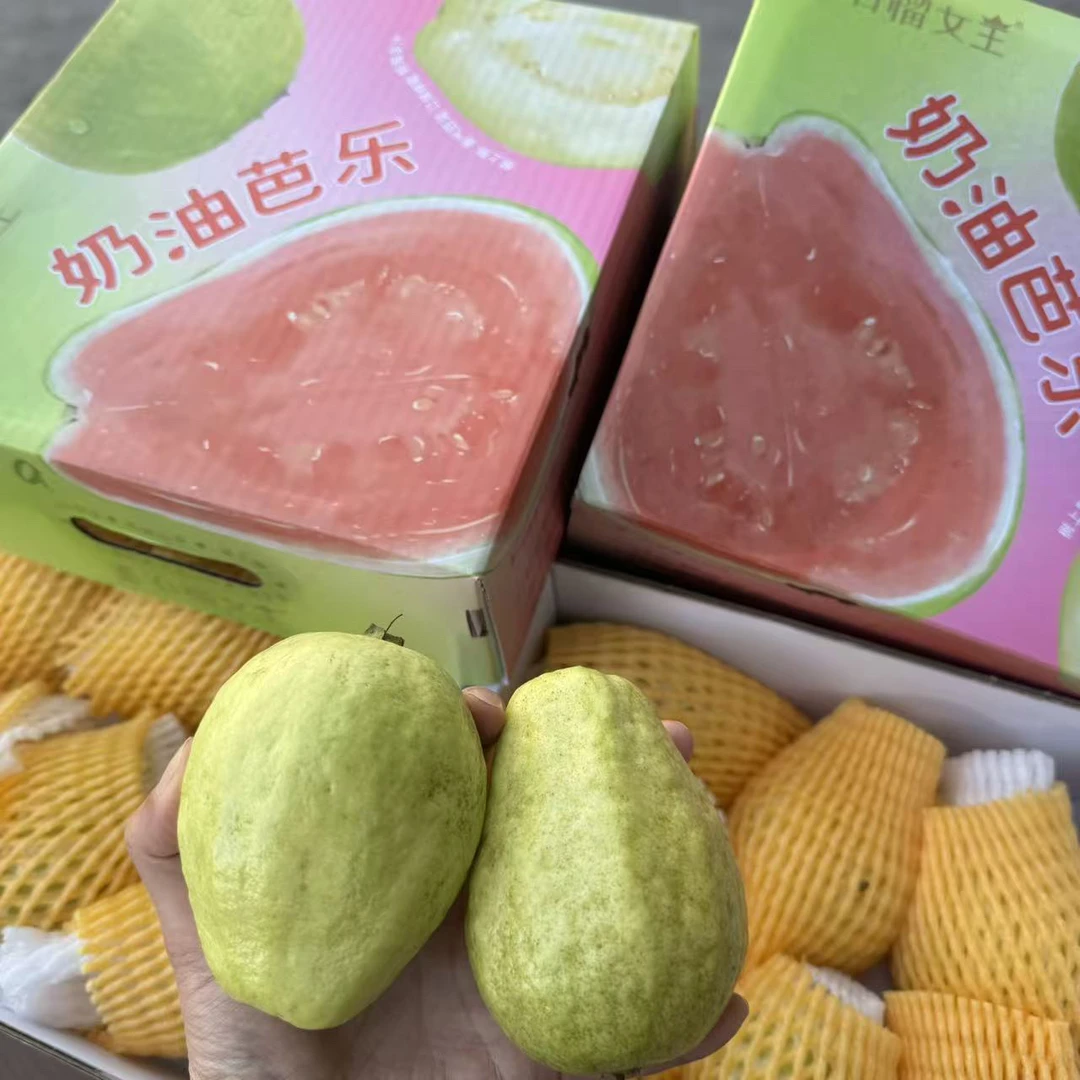 树熟奶油白心芭乐  番石榴 口感丝滑香 约3斤