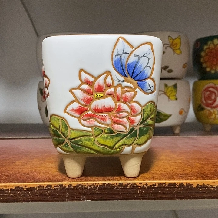 韩式多肉植物花盆