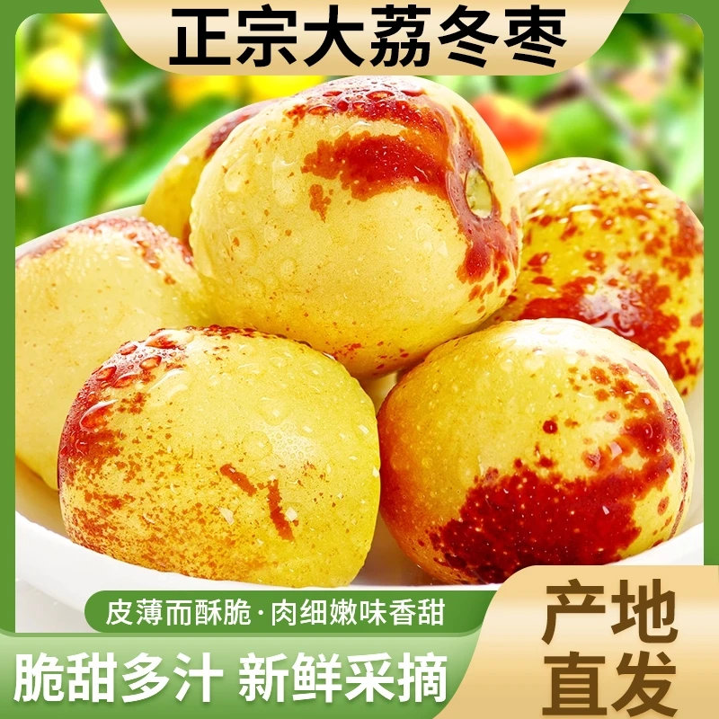 【阿吉甄果无悔专属】正宗陕西大荔冬枣现摘现发脆甜可口新鲜水果