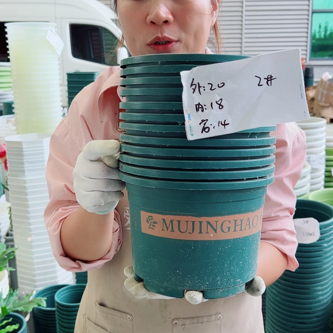 瑕疵矮胖2#墨绿色10个无托
