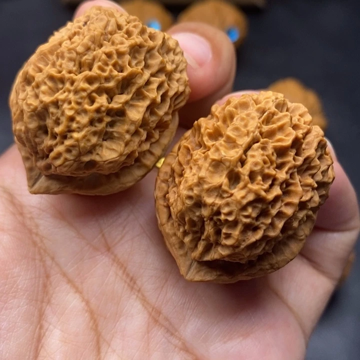 把件文玩核桃39尺荒古金蟾