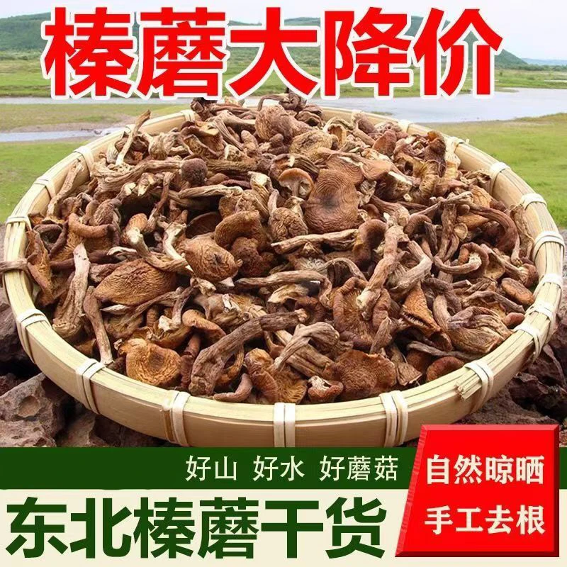 东北榛蘑干货土特产无根榛蘑菇小鸡炖蘑菇新货干净无杂质真材实料
