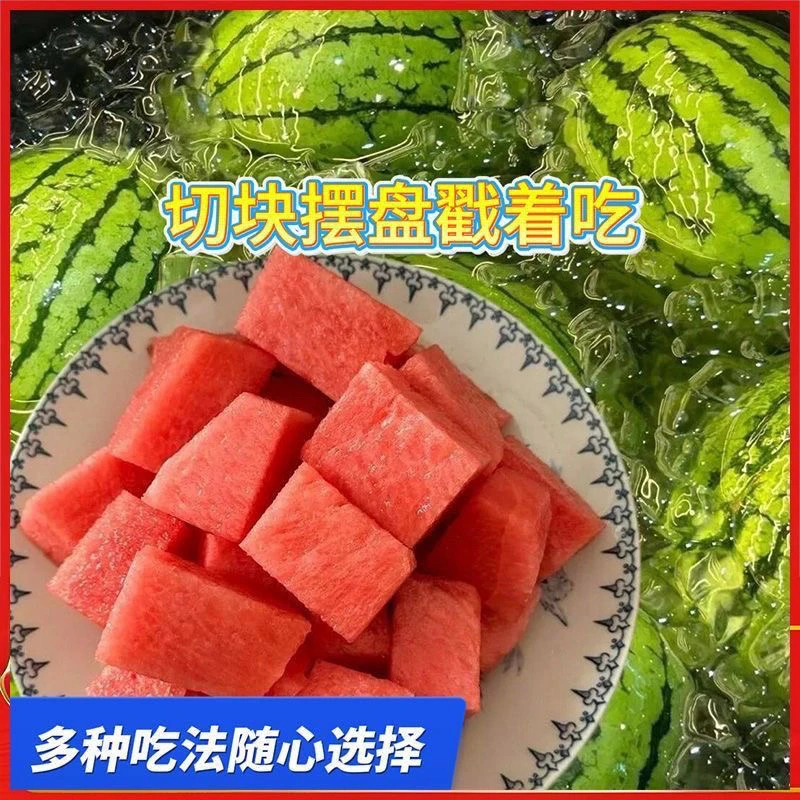 新鲜口口脆西瓜薄皮脆甜红瓤少籽清甜多汁当季水果5-8斤西瓜同城送四川省