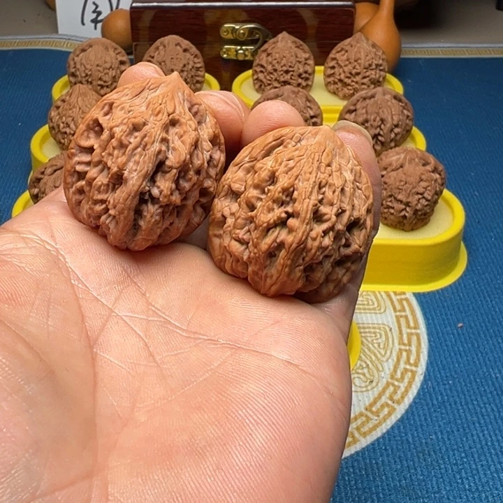 核桃麦虎全品无修36、37尺随机三对