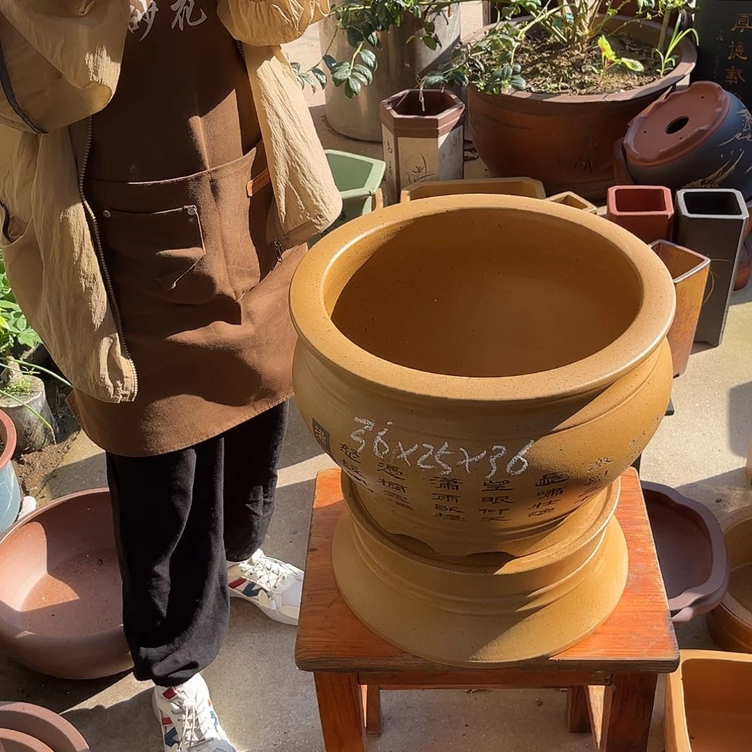 紫砂花盆盆景艺术