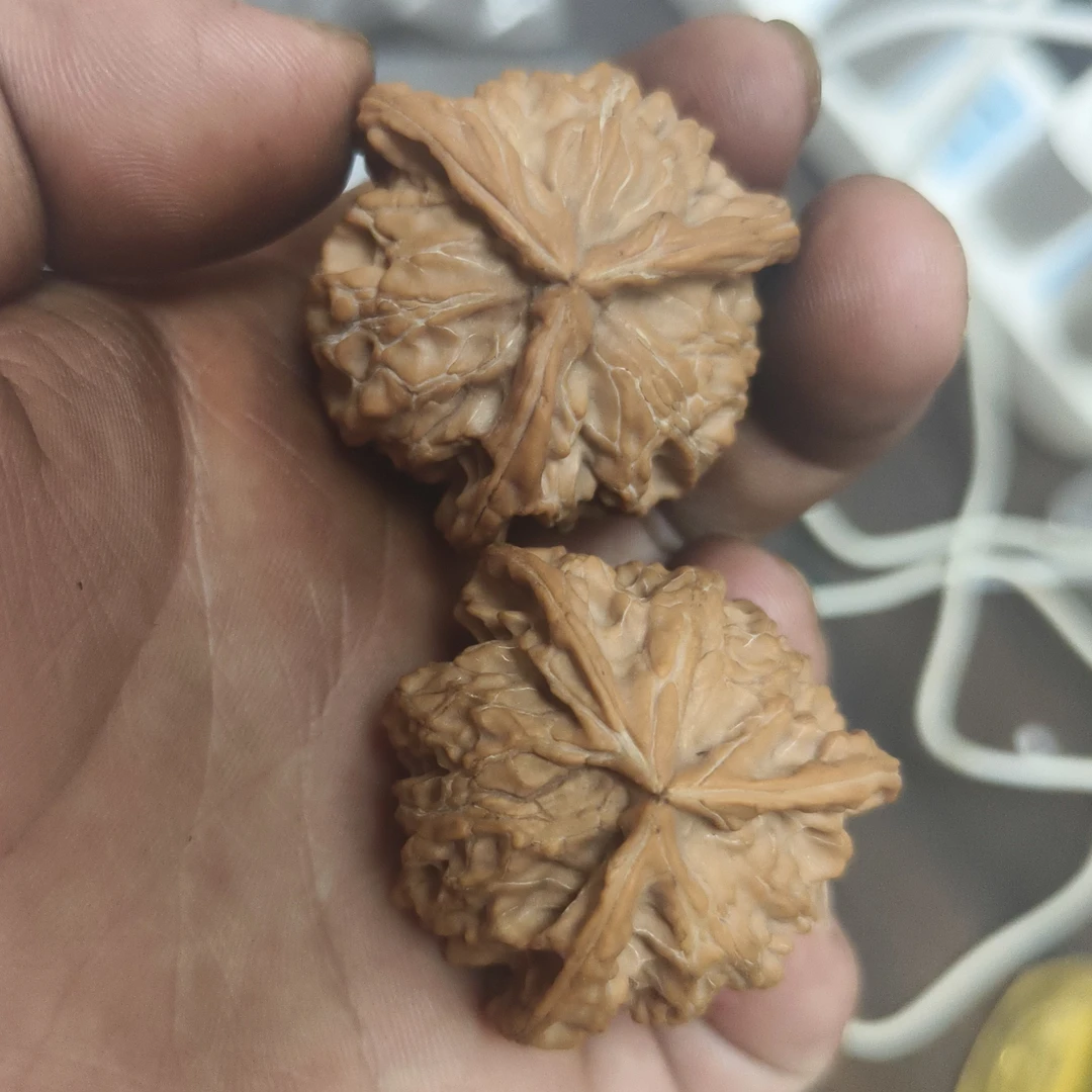 盘山三棱精品大肚子39尺