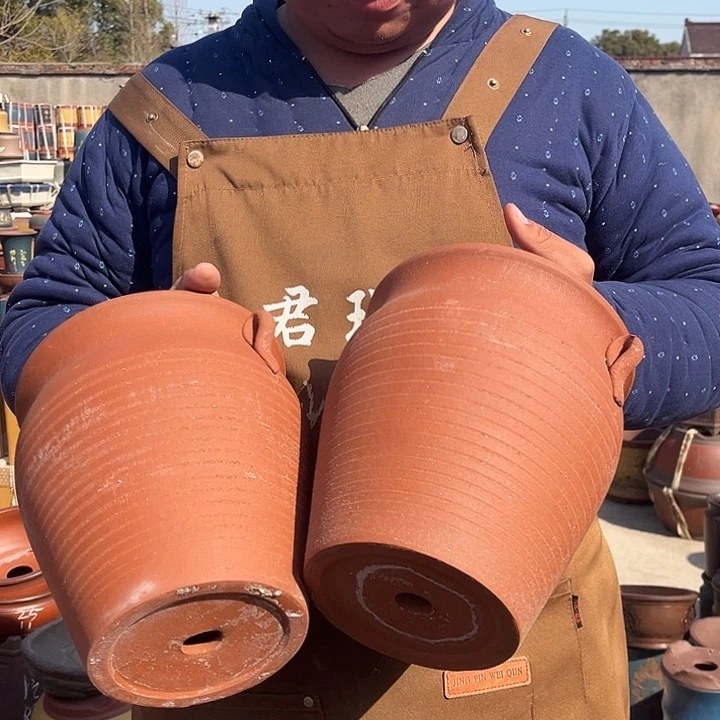 紫砂紫砂花盆盆栽