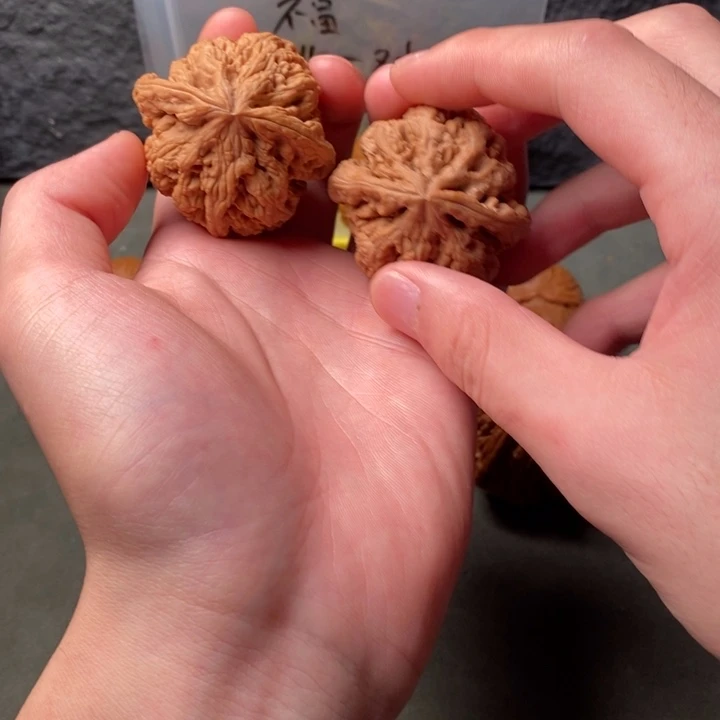 核桃等经济林果地的作用