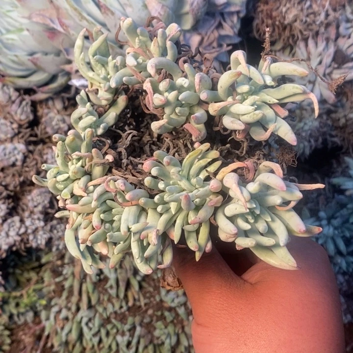 4324哈哈哈哈哈哈哈哈