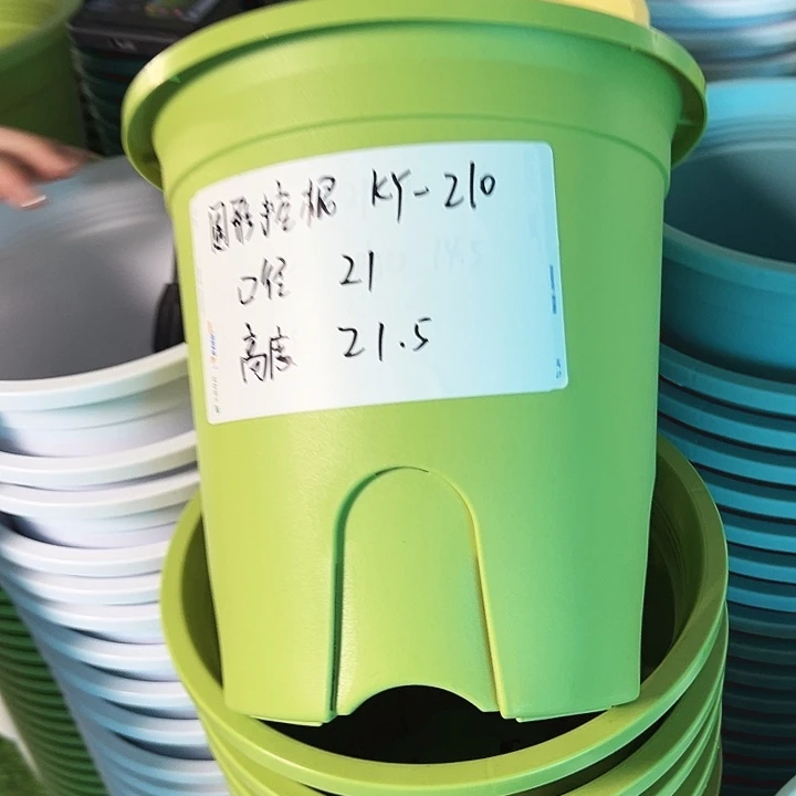 正品圆控口21高21果绿无托8只