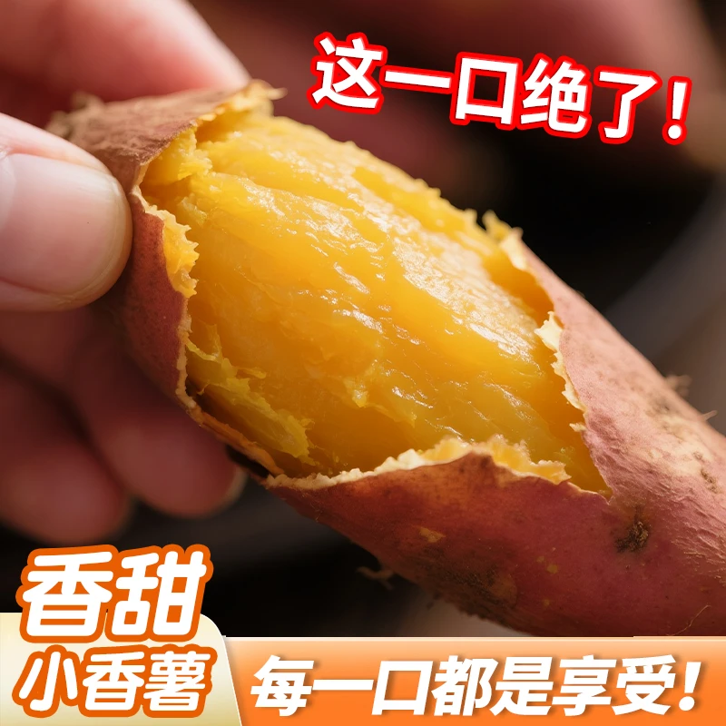 临安天目小香薯新鲜小香薯软糯香甜板栗薯黄心红薯番薯农家自种