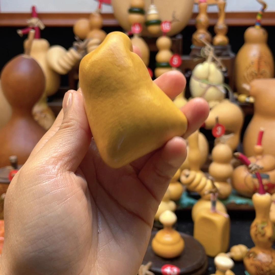 ?大自然的秘密第十一节的