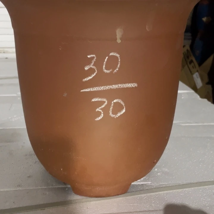 周深周深周深周深周深