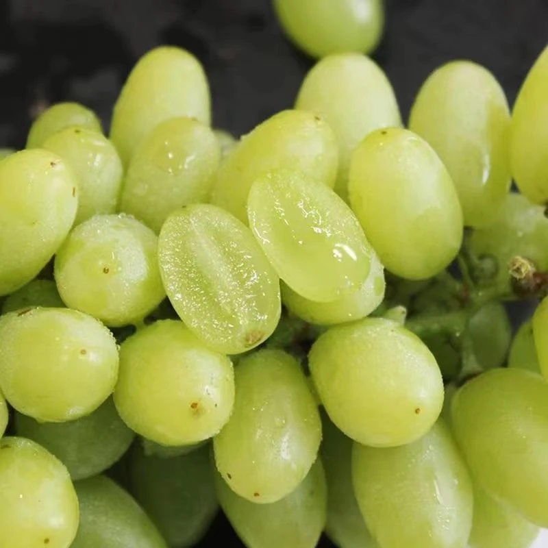 新疆木纳格青提葡萄水果，脆甜多汁顺丰包邮葡萄同城送新疆维吾尔自治区