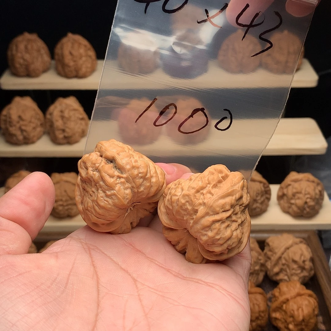 J***核桃蛤蟆头40尺43肚