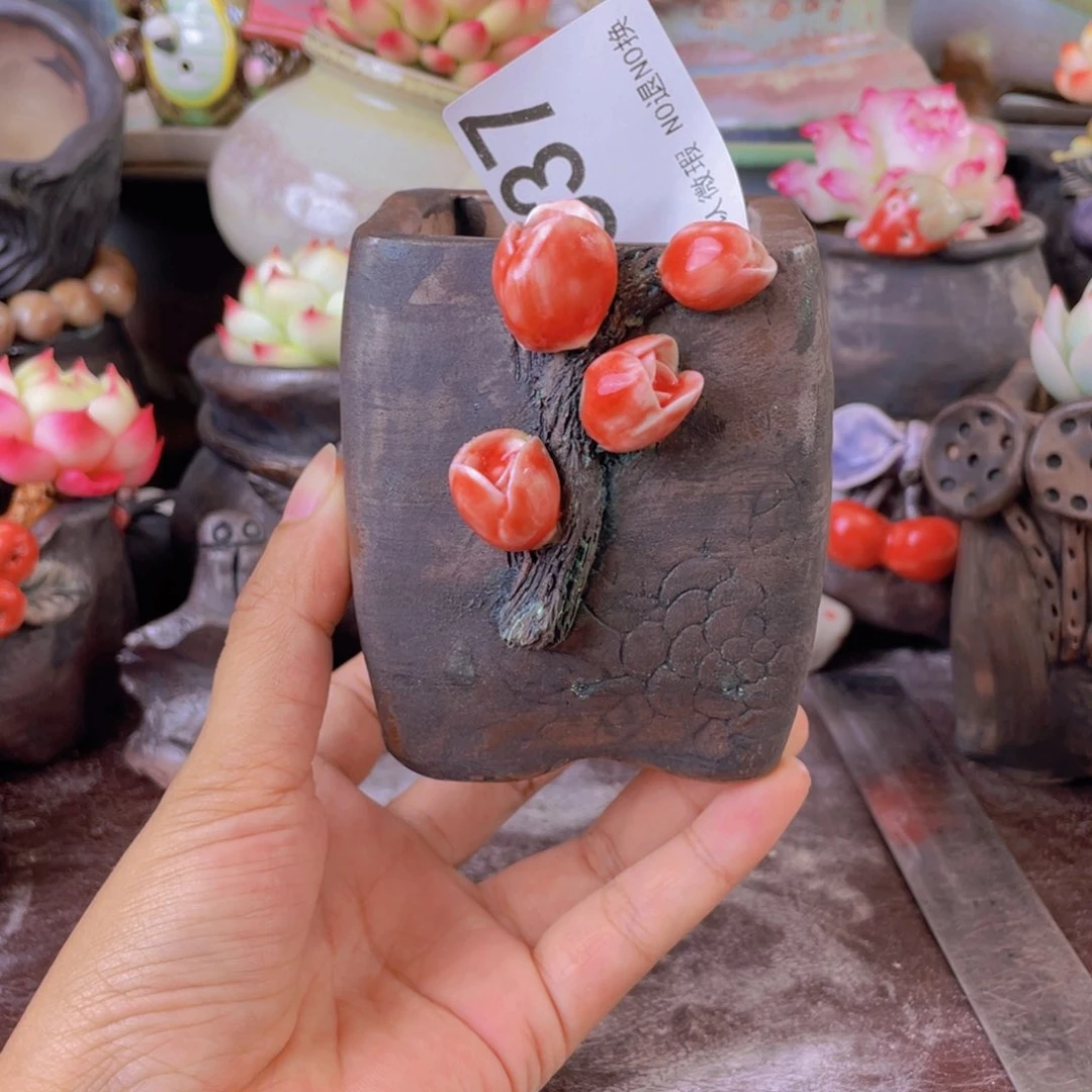 重庆小燕子欢迎大家637