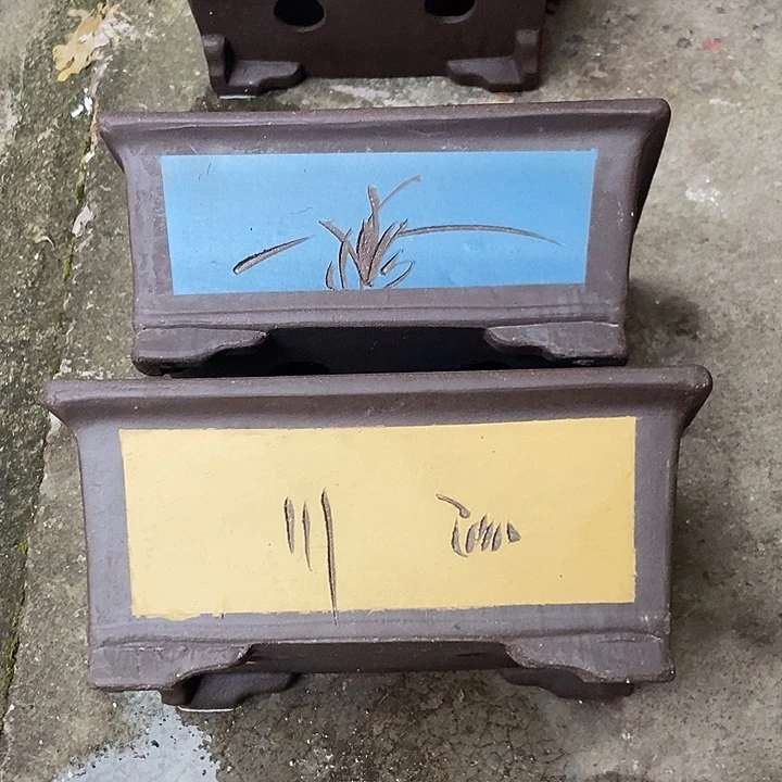 24花盆花盆花盆花盆就