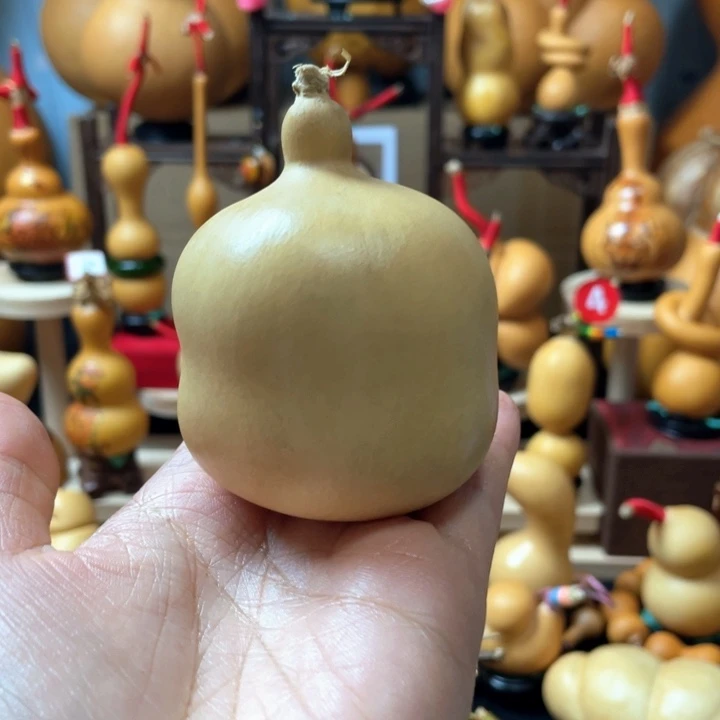 d****是啊我们就是在你身上没有