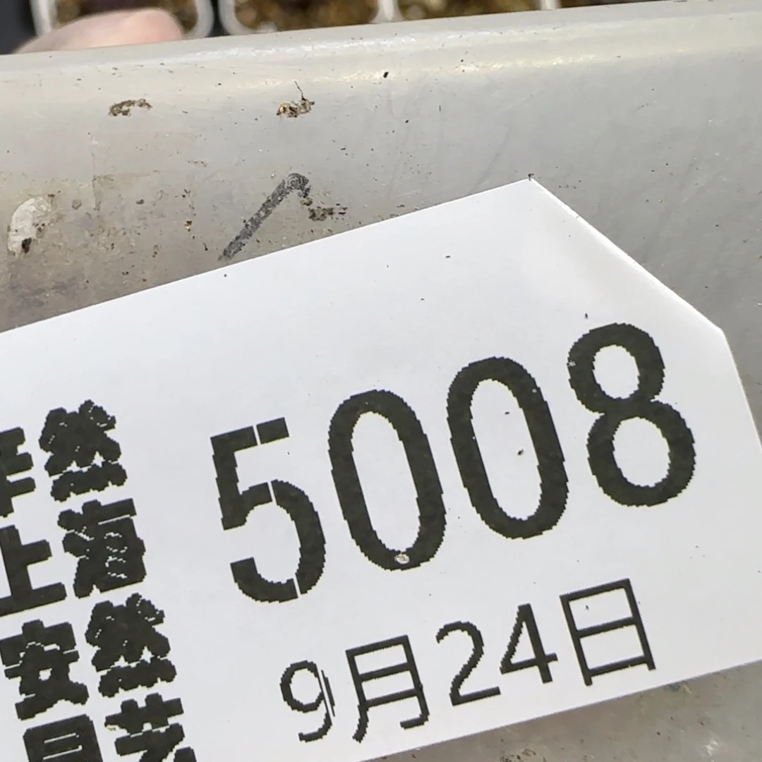 绿***️9.24。.013饼干清货3一颗长腿5008