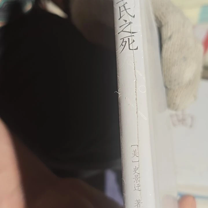 王氏之嘎精装库存书微瑕没书衣介意勿拍