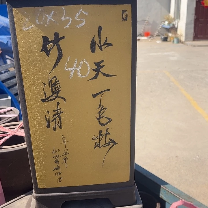 紫砂紫砂花盆和小