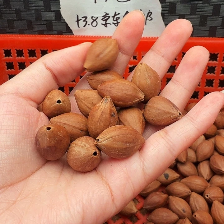 手串/手链橄榄核橄榄