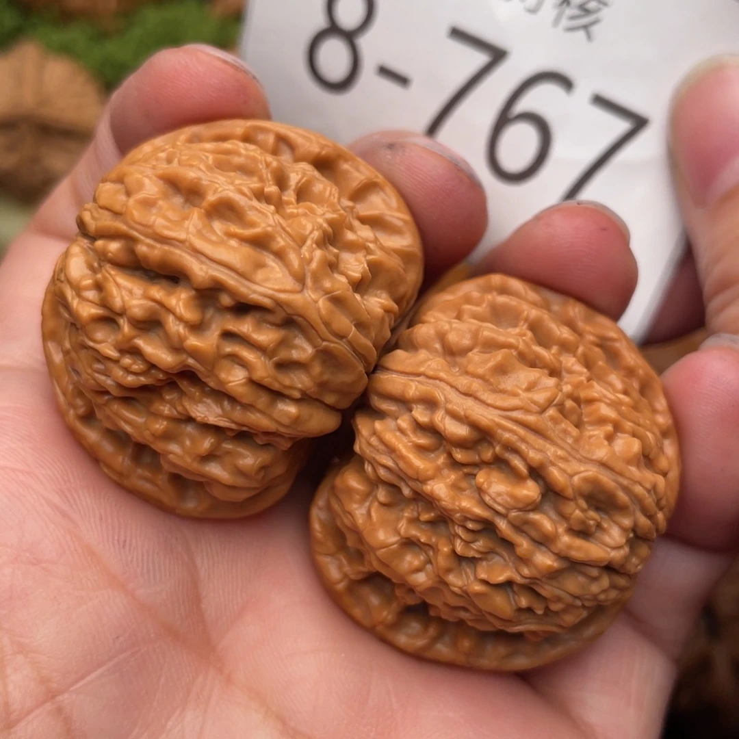 文玩核桃把件白狮子38